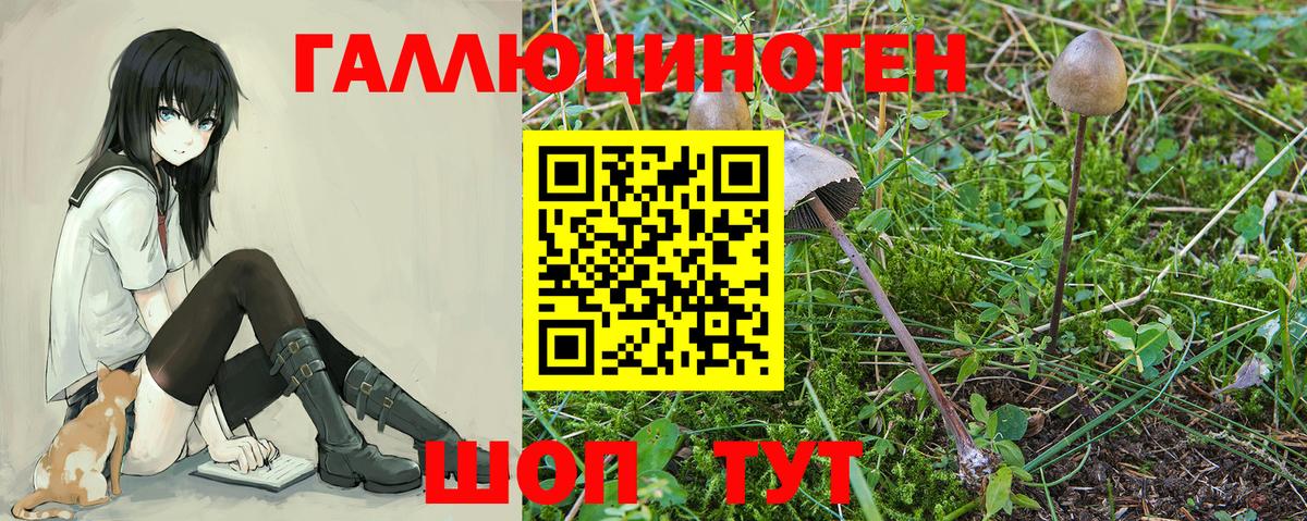 Галлюциногенные грибы мухоморы  Вход с VPN  Псилоцибиновые грибы Magic Shrooms  Югорск 