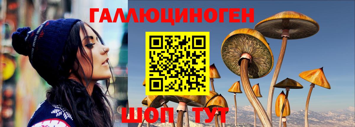 Галлюциногенные грибы прущие грибы Югорск